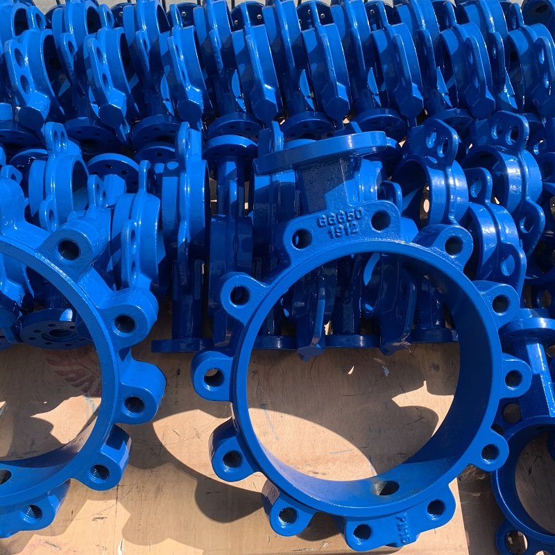 Lug Butterfly Valve Blank/Casting
