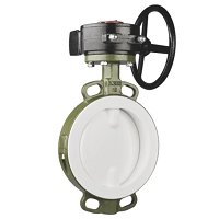 FPA lined worm gear butterfly valve